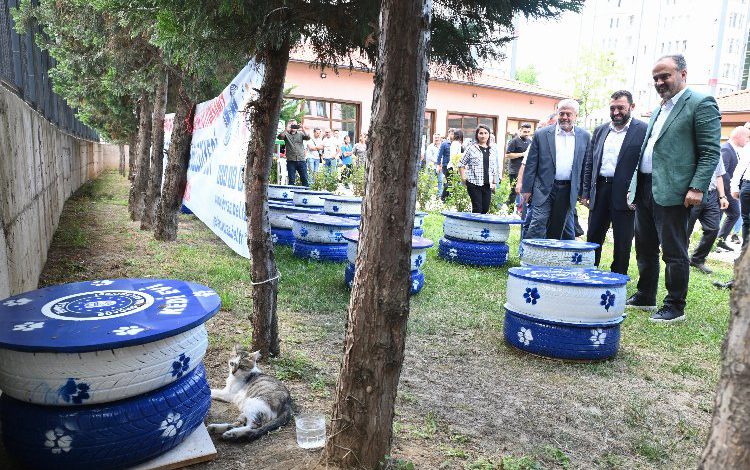 Bursalı danışanlar sokak hayvanları için seferber Bursalı danışanlar sokak hayvanları için seferber