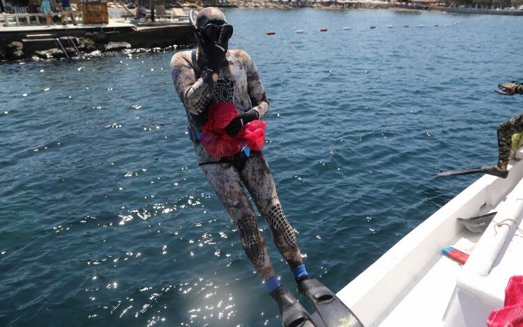 Bodrum’un dipleri şaşırtmaya devam ediyor! Bodrum’un dipleri şaşırtmaya devam ediyor!