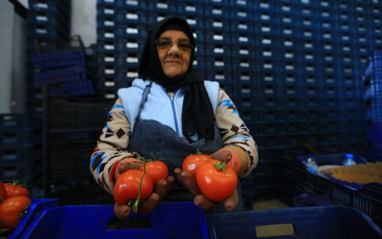 Muğla Büyükşehir, toptancı hal esnafına “kefil” oluyor Muğla Büyükşehir, toptancı hal esnafına “kefil” oluyor