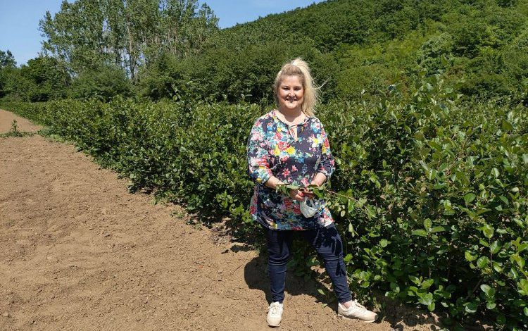 Kızılderililerin şifalı meyvesini Bursa’dan dünyaya satıyor