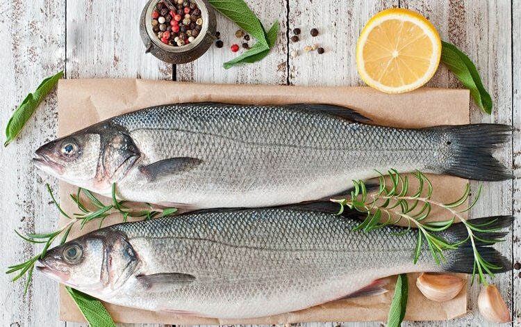 Levrek ihracatın zirvesinde! Levrek ihracatın zirvesinde!