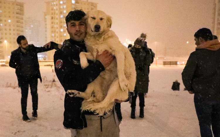 Kayseri Talas’ta kar keyfi