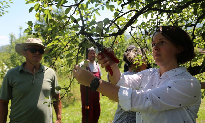Kocaeli’nde fidancılık kursiyerleri artık daha bilinçli Kocaeli’nde fidancılık kursiyerleri artık daha bilinçli