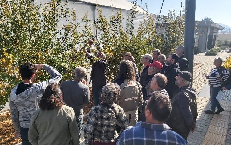 İzmir Efes Selçuk’ta çiftçilerin eğitimlerine devam