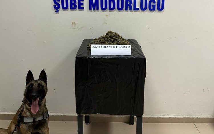 Bingöl’de uyuşturucu madde ticaretine 1 tutuklama Bingöl’de uyuşturucu madde ticaretine 1 tutuklama