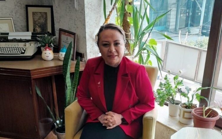 MHP aday adayı Karabulut, siyasete katma değer katacak