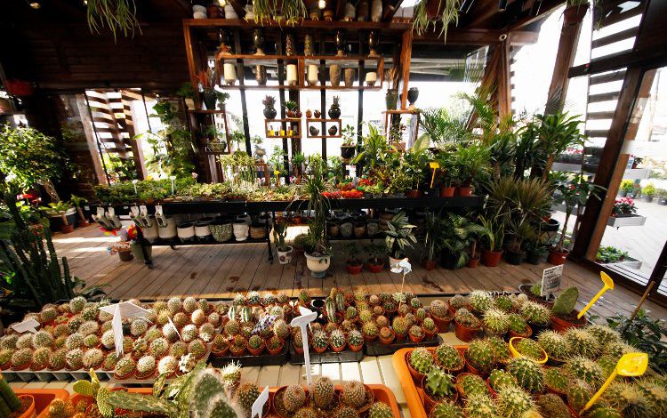 Sakarya BAHÇEM’i sevdi Sakarya BAHÇEM’i sevdi