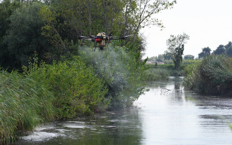 Bursa’da drone ile sinek avı