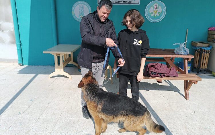 Manisa’da bir can dostu daha yeni yuvasında