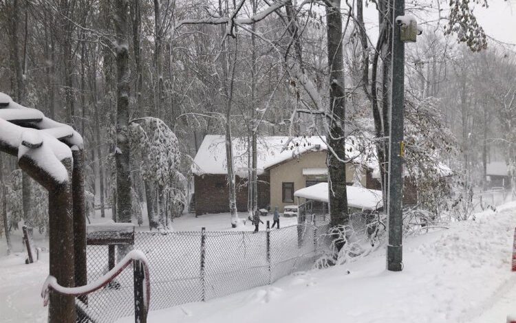Gölcük Eriklitepe beyaz örtüye büründü