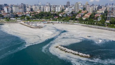 Marmara için güzel haber!