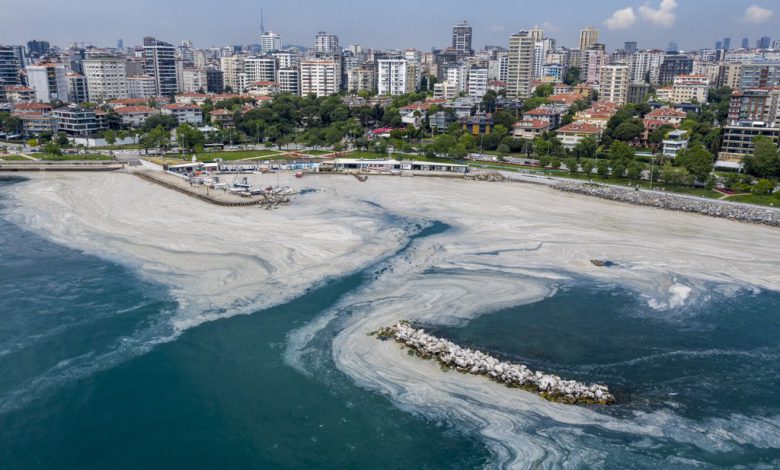 Marmara için güzel haber!