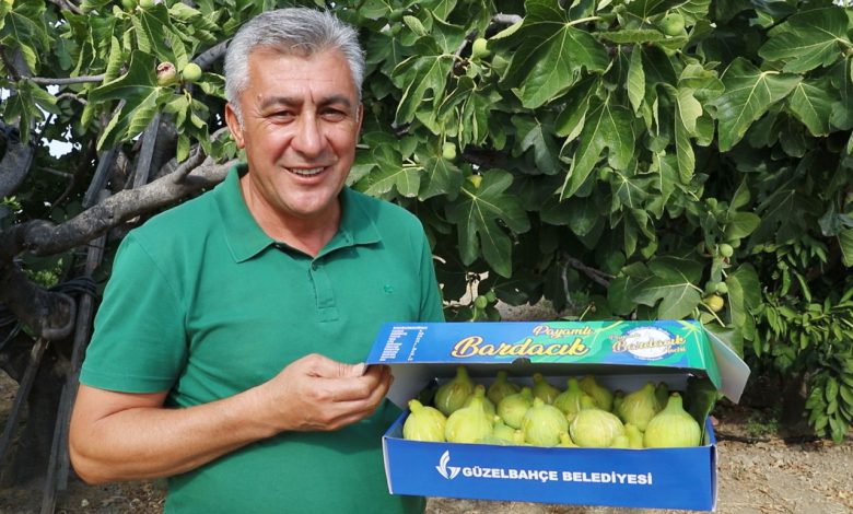 İzmir Güzelbahçe’de ‘Payamlı Bardacık Festivali’ hazırlığı