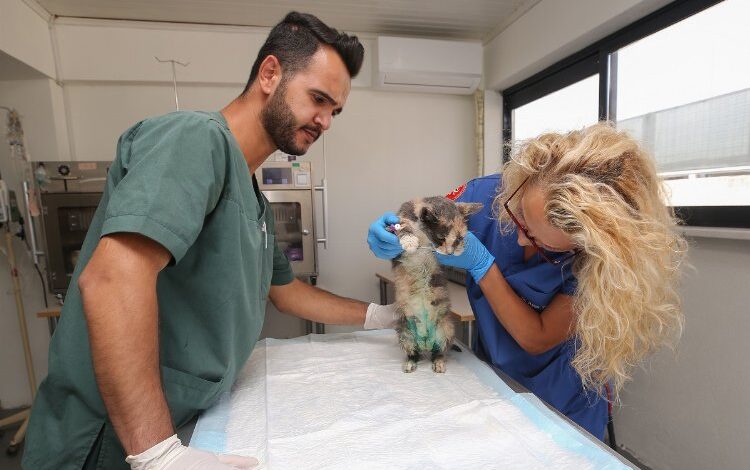 Hitachi Astemo Türkiye can dostlarının yanında