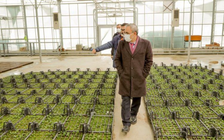 Kütahya’da yazlık çiçekler için hazırlık Kütahya’da yazlık çiçekler için hazırlık