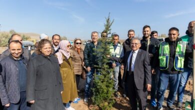 Kayseri Büyükşehir’den şehre yeşil katkı