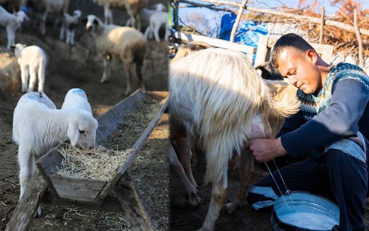 Gençler üretime dönüyor Gençler üretime dönüyor