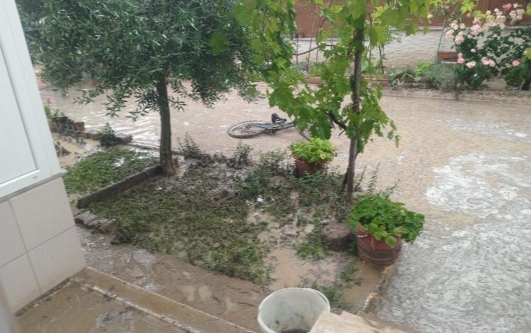 Erikli’de yazlıkçılardan isyan! Erikli’de yazlıkçılardan isyan!