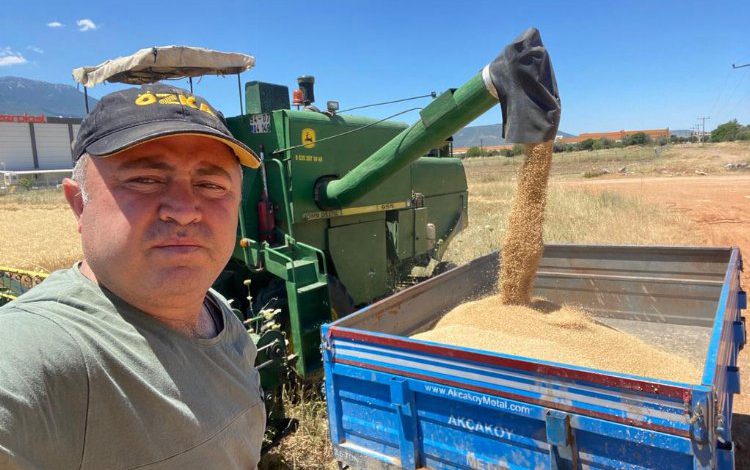 İzmir’de buğday hasadı yüz güldürmedi İzmir’de buğday hasadı yüz güldürmedi
