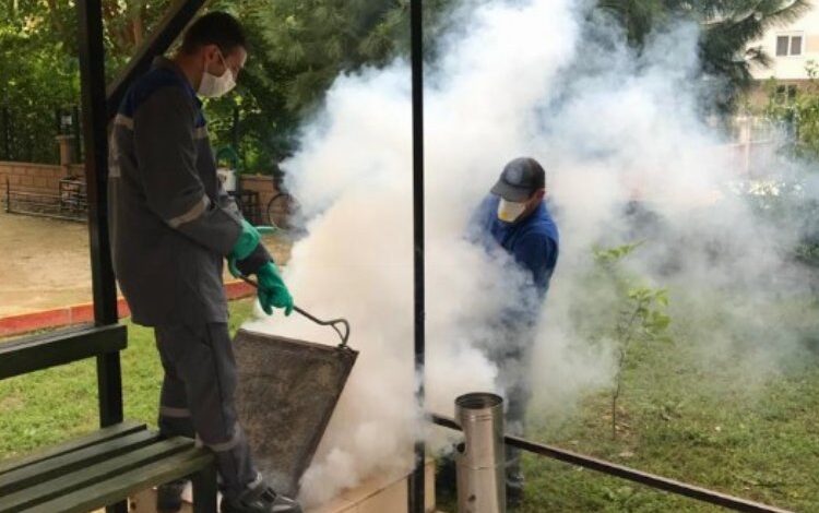 Sineksiz yaz için ilaçlama ordusu iş başında Sineksiz yaz için ilaçlama ordusu iş başında