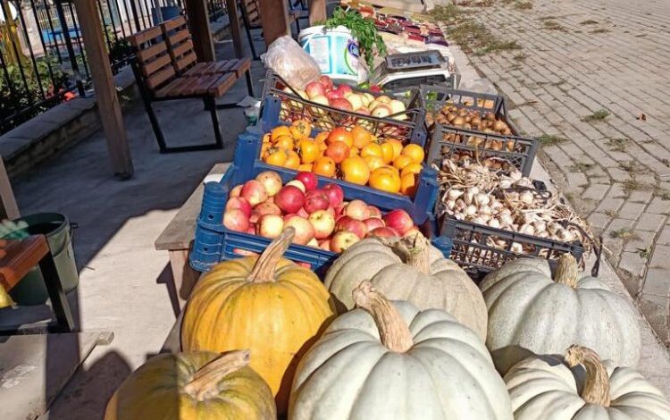 Kocaeli İzmit’te çiftçilerin üretici pazarı ilgisi