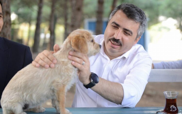 Bursa Yıldırım’da can dostlara şefkat eli