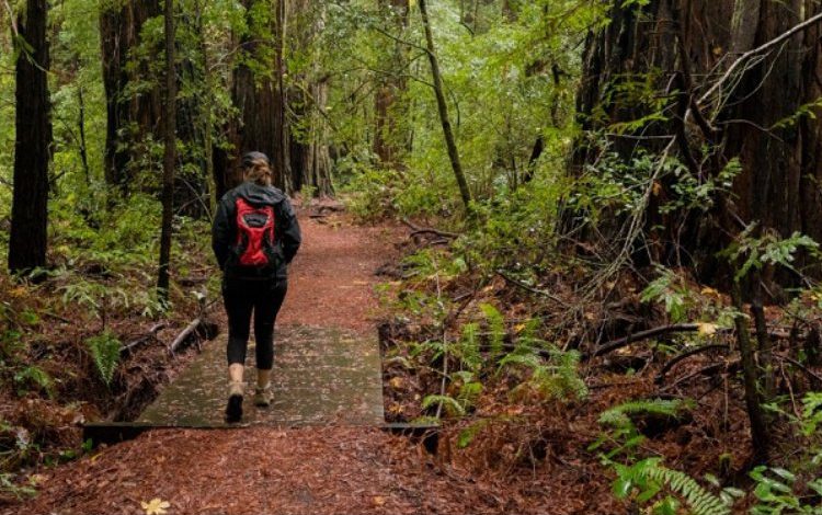 TTI Fuarı doğaseverlere kapılarını açıyor