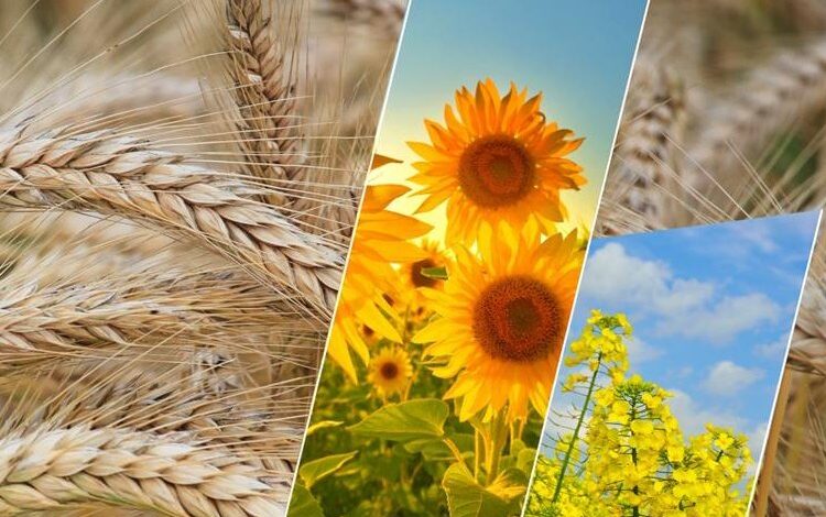 124 milyon TL’lik tarımsal destek hesaplarda