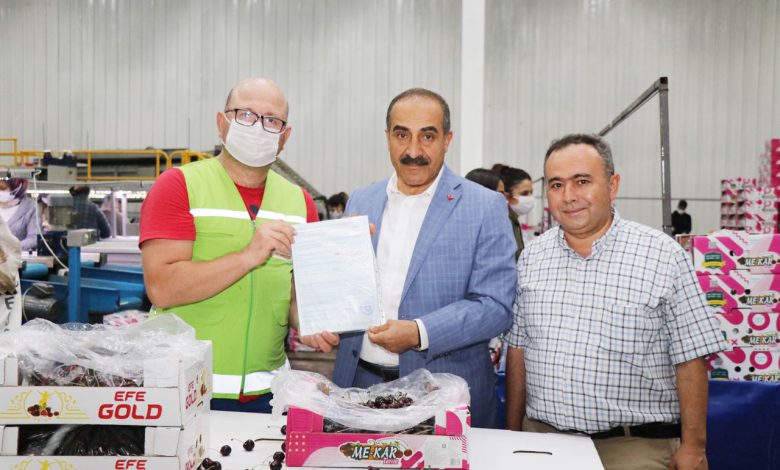 İzmir Kemalpaşa’da kiraz ihracatına inspektör desteği İzmir Kemalpaşa’da kiraz ihracatına inspektör desteği