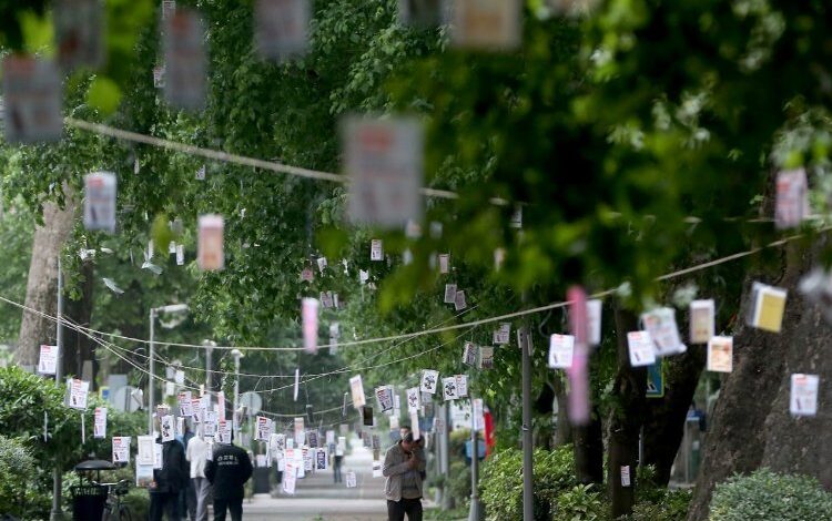 Kocaeli’de 5 bin kitap ağaçtan toplanacak