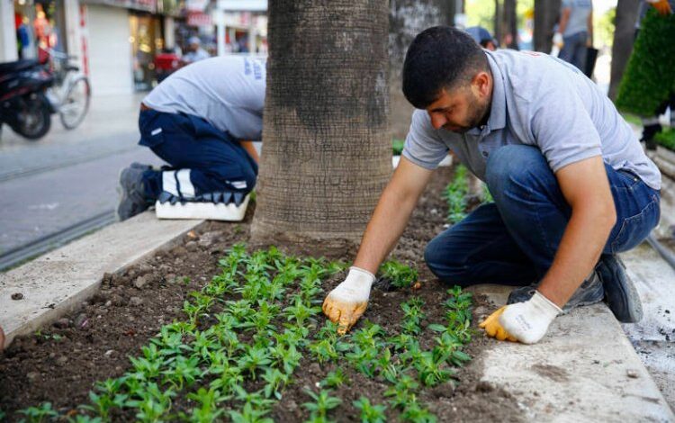 Antalya çiçek bahçesine dönecek