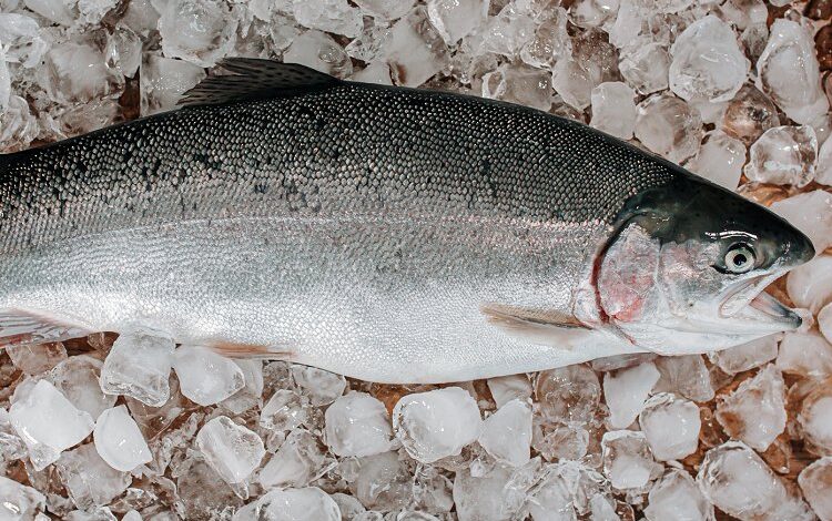 Dondurulmuş balık alırken dikkat! Dondurulmuş balık alırken dikkat!
