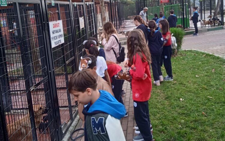 Bursa Osmangazi’de çocuklara hayvan sevgisi aşılanıyor
