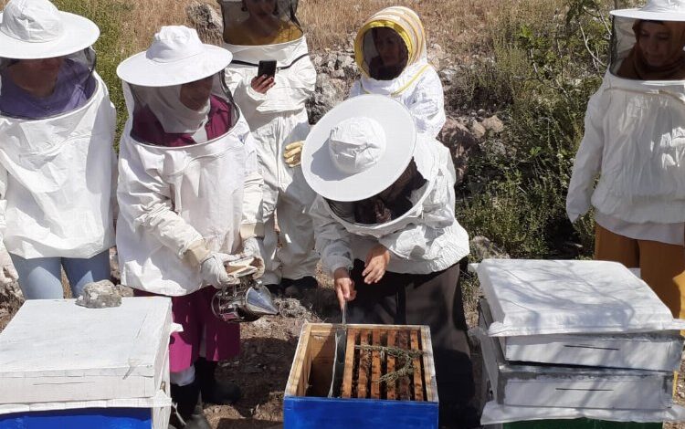 Manisa’da arıcılara kışlatma eğitimi Manisa’da arıcılara kışlatma eğitimi