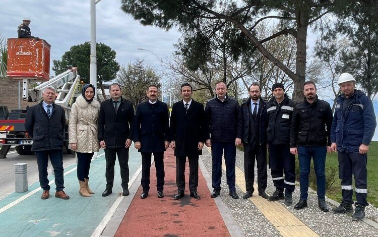 Sokak lambaları, kuşların yeni  yuvası oldu