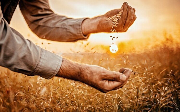 BUSİAD’dan gıda günü mesajı: Tarım politikaları yeniden belirlenmeli BUSİAD’dan gıda günü mesajı: Tarım politikaları yeniden belirlenmeli