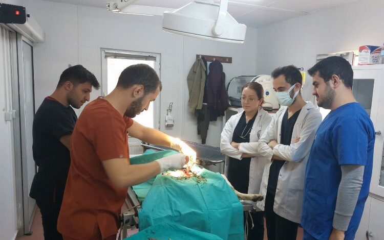 Bursa Osmangazi’de veteriner hekim adaylarına uygulamalı eğitim Bursa Osmangazi’de veteriner hekim adaylarına uygulamalı eğitim