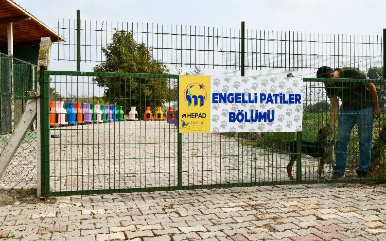 Bursa Mustafakemalpaşa’da ‘Engelli Hayvan Birimi’ faaliyette
