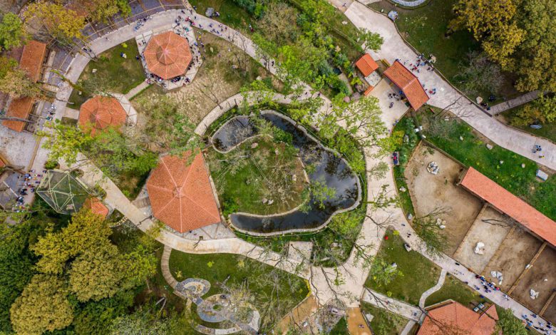 Kocaeli’de Ormanya’ya ‘en iyi’ ekolojik destinasyon ödülü Kocaeli’de Ormanya’ya ‘en iyi’ ekolojik destinasyon ödülü