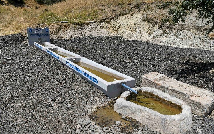 Hayvancılığa sıvat desteği