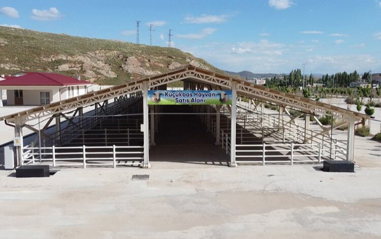 Sivas hayvancılığına büyük devir Sivas hayvancılığına büyük devir