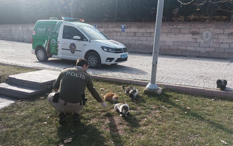 Aksaray’da polis sokak hayvanlarına mama dağıttı Aksaray’da polis sokak hayvanlarına mama dağıttı