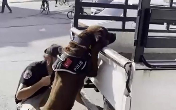 Adıyaman’da ‘Miror’lu narkotik uygulaması