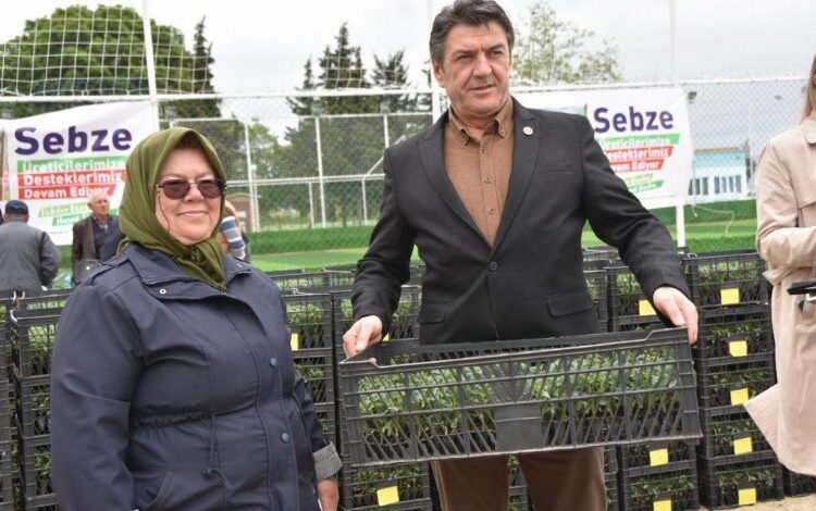 Üreticilere domates fidesi desteği