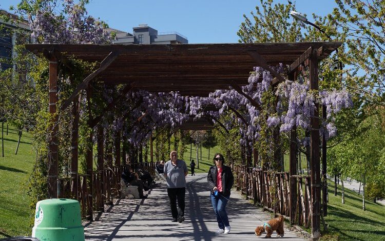 Beylikdüzü yaz sezonuna hazırlanıyor