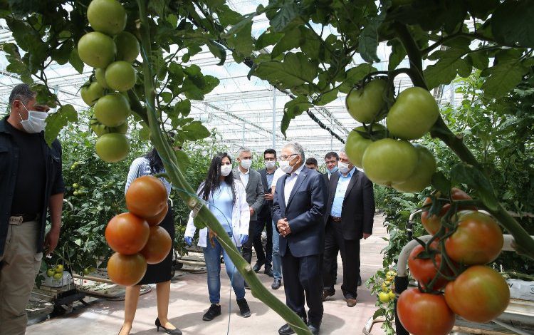 Kayseri Büyükşehir’den çevre dostu hamleler Kayseri Büyükşehir’den çevre dostu hamleler