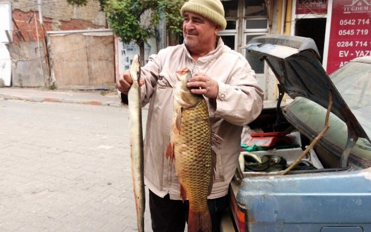 Edirne’de barajdan yakalanan canlı balıklar ilgi görüyor
