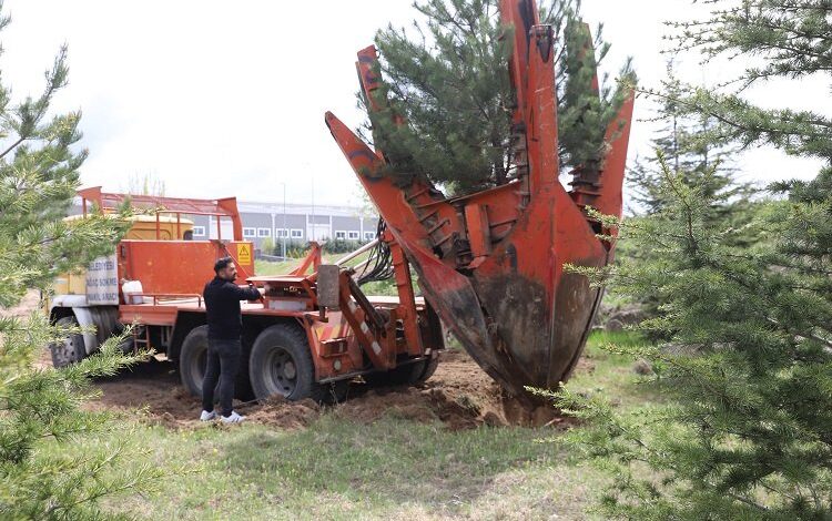 Kayseri Büyükşehir’den yeşil harekat