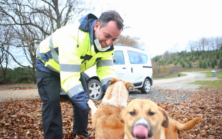 Sakarya’da okul tatil olunca yemekler sokak hayvanlarına götürüldü Sakarya’da okul tatil olunca yemekler sokak hayvanlarına götürüldü