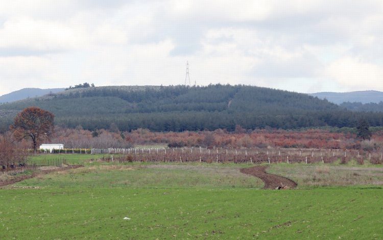 Bursa Mudanya’da ihtiyaç sahipleri için yağ ve un üretilecek Bursa Mudanya’da ihtiyaç sahipleri için yağ ve un üretilecek